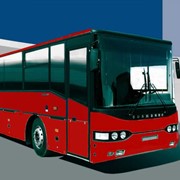 Услуги рейсовых автобусов