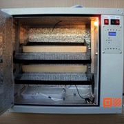 Инкубатор инкубационно-выводной Best- 200 фото