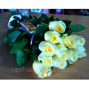 Букет с 11 кремовыми розами “Поздравляю!“ фото