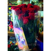 Букет из 11 красных роз - премиум “С Днем рождения!“ фото