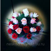 Букет из 25 разноцветных роз “С Днем рождения!“ фото