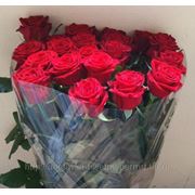 Розы, букет 19 шт. (оформление и подкормка для цветов "CHRYSAL"(Голландия) в ПОДАРОК!