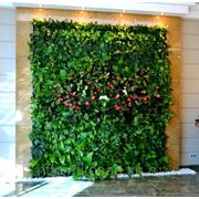 Фитостены - стены из живых растений фотография