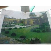 Посев и укладка газона фотография