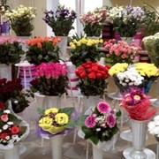 Доставка цветов по Чернигову