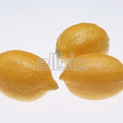 Лимоны продажа, опт фото
