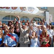 Видеооператор- фотограф на свадьбу,видео- фото в Пензе т.8-927-385-17-09 фото