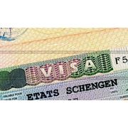 Фото на визу Шенген, комплект из 4 фотографий.