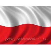 Письменный перевод с польского языка