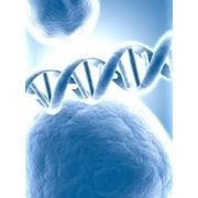 ДНК отцовство ДНК экспертизы Тесты ДНК фото