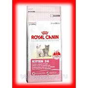 КОРМА ДЛЯ ЖИВОТНЫХ ROYAL CANIN ОПТОМ фото