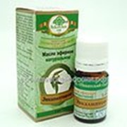 Эфирное масло Эвкалипт, 5 мл Никитский Ботанический Сад при респираторных заболеваниях, ревматических и мышечных болях фото