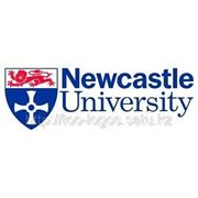 University of Newcastle фото