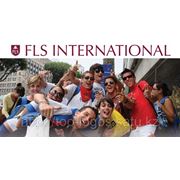 Спецпредложение FLS International фото