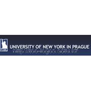 University of New York in Prague фото