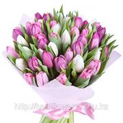 Тюльпаны (Любых цветов, Экстра, Голландия) фотография