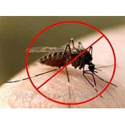Уничтожение комаров фото