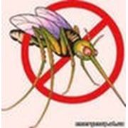 Дезинсеция: уничтожение комаров