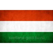 Виза в Венгрию на полгода фотография