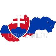 Виза в Словакию фотография