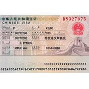 Многократная виза в КНР на 6 месяцев