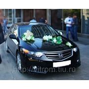 Автомашины для свадебного кортежа - Honda Accord