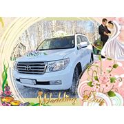 Заказать свадебный автомобиль фото