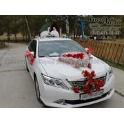 Аренда автомобиля бизнес класса в Екатеринбурге: Тойота Камри белая (Toyota Camry white)