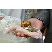 Свадьба под ключ фотография