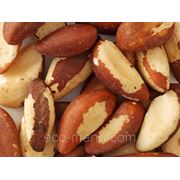 Бразильский орех Боливия фото