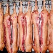 Свинина 3-4-ой категории, Мясо свинины
