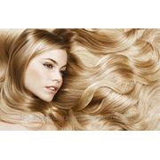 Биоламинирование волос - длина до 80 сантиметров фотография