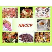 Консультации по разработке и внедрению HACCP