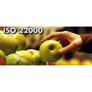 Разработка и внедрение ISO 22000