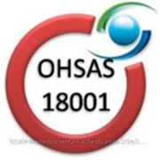 Консультации по разработке и внедрению OHSAS 18001:2007