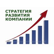 Разработка Стратегий развития бизнеса