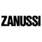 Ремонт стиральных машинг Зануси (ZANUSSI) фото