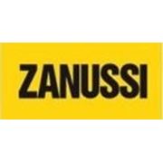 Ремонт бытовой техники ZANUSSI фотография
