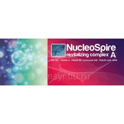 NucleoSpire revitalizing complex A