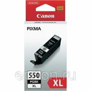 Заправка картриджа Canon PGI-450 фото