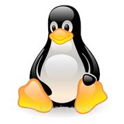 Установка OS Linux на рабочие станции и ноутбуки