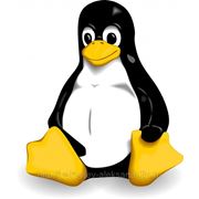Установка любых дистрибутивов Linux фото