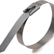 Стяжки кабельные стальные СКС-П (316) 7,9*250 FORTISFLEX 3726791 фото