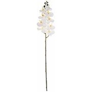 Цветок искусствнный “орхидея“ высота=96см, белый Lefard (283-608) фотография