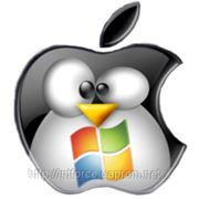 Установка программного обеспечения. Операционные системы семейства Windows, MacOS, Linux. Адаптация ПО фотография