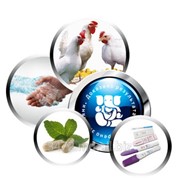 Витаминно-минеральные подкормки для кур фото