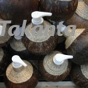 Кокосовое масло Takanta в кокосе с дозатором, 100 мл