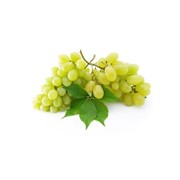 Саженцы винограда кишмишных сортов Крым, Украина, выращивание, продажа