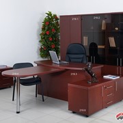 Мебель для офиса Кабинет Алекс 02