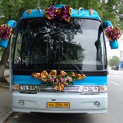 Заказ свадебного автобуса фотография